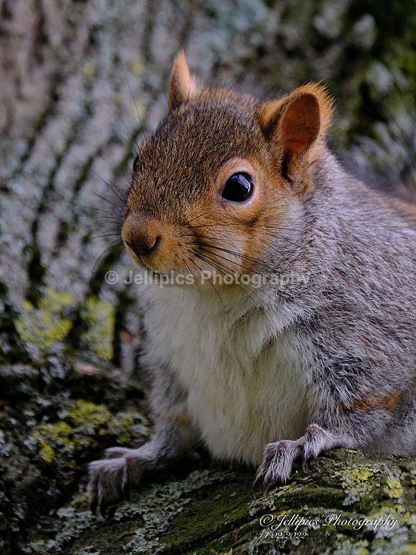  - Wildlife and Nature