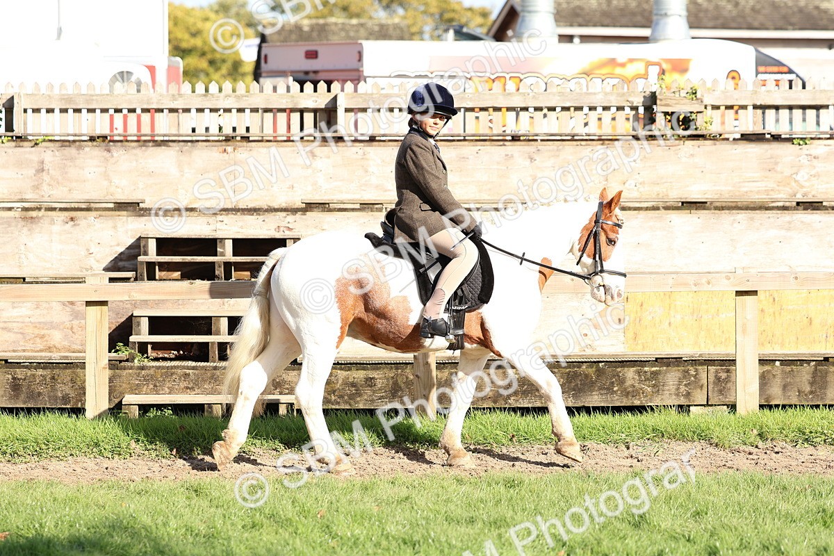 SBM_52339 - S13 - Pony Club Pony