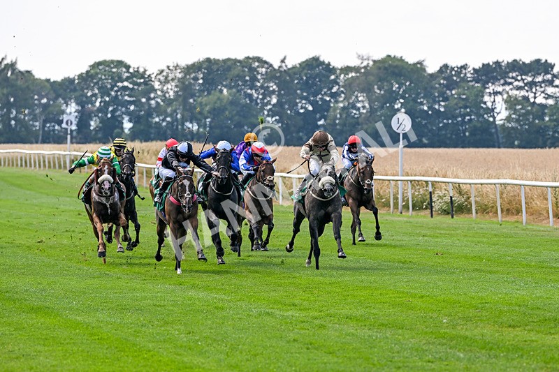 160726-Race 3-Angel Numbers-4427 - Race 3 15.03pm Sell Your Business With Anderson Barrowcliff Handicap