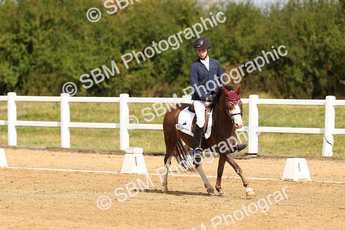 SBM_011524 - Class 1 - Prelim 19 - 10.50-11.46