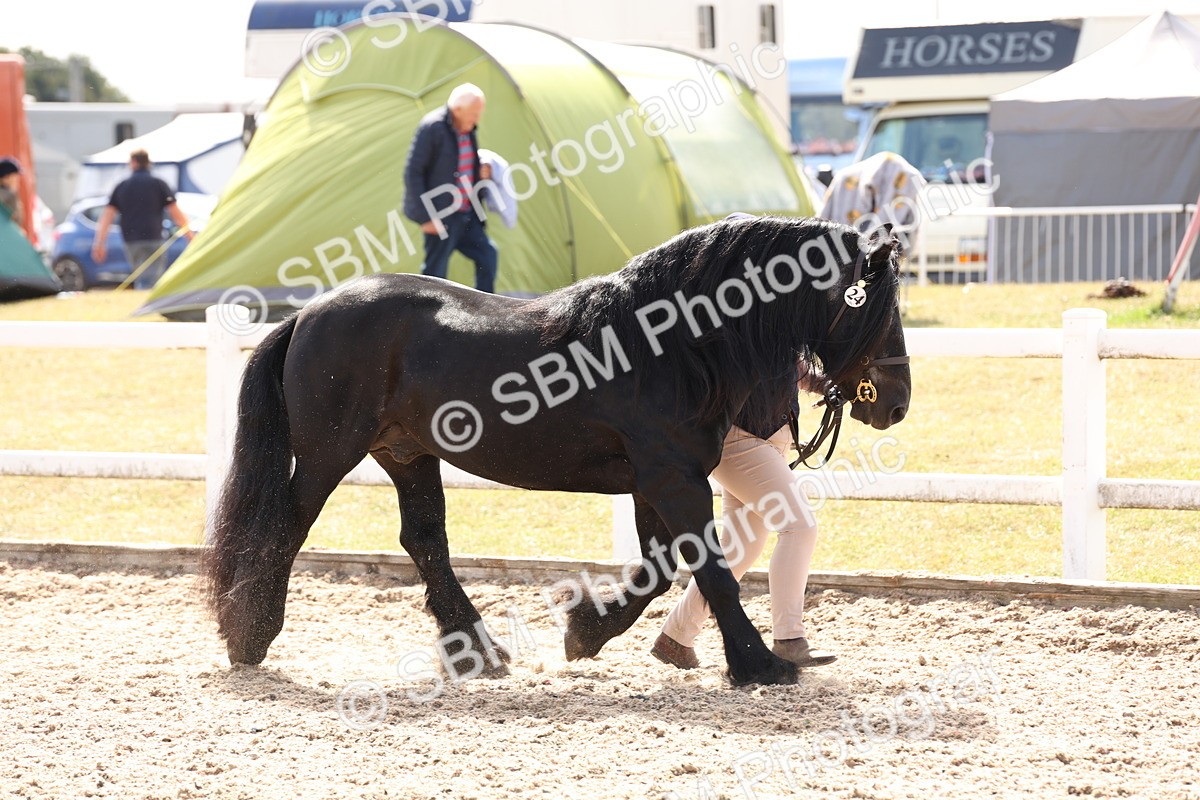 SBM_15040 - Class 209 - IH Veteran Pony
