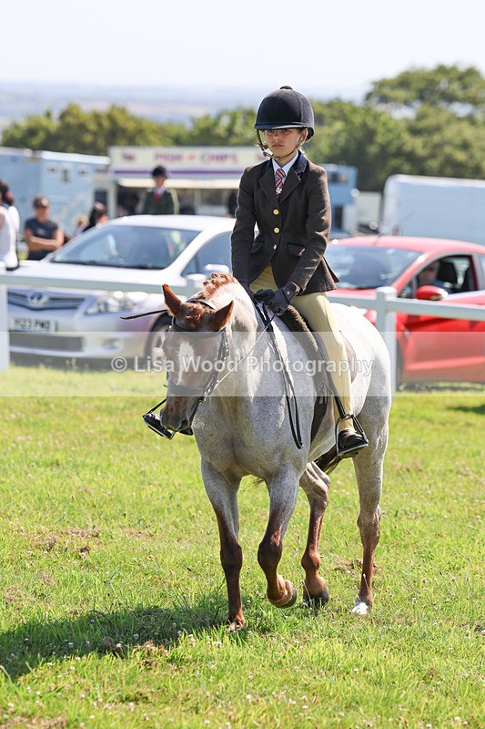 IMG_1939 - Class 33: Show Pony 148cm and under