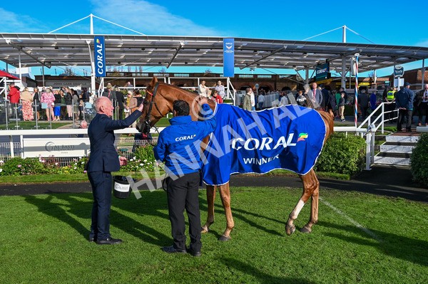 141023-Race 3-Montassib-8951 - Race 3 2.25pm Coral Sprint Trophy Handicap