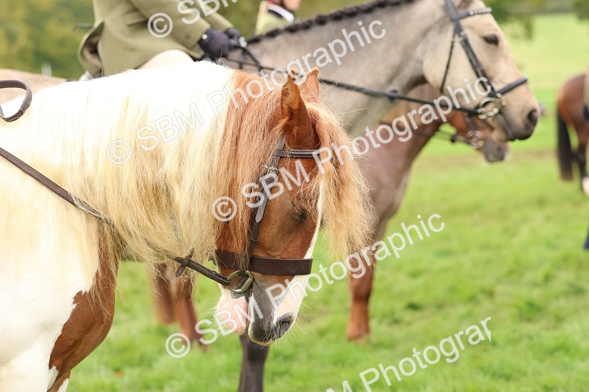 SBM_56691 - S40 - Starters Ridden Showing