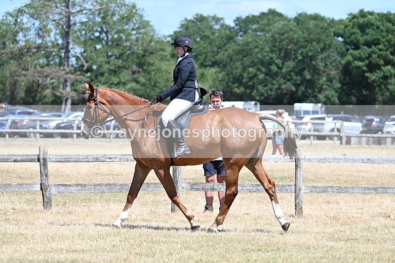 WJ7_2782 - Class 7 Riding Club Show Horse