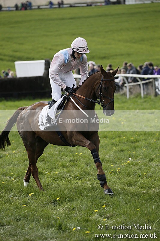 PtP 170417 446 - Old Berks Point-to-Point Lockinge 17/04/17