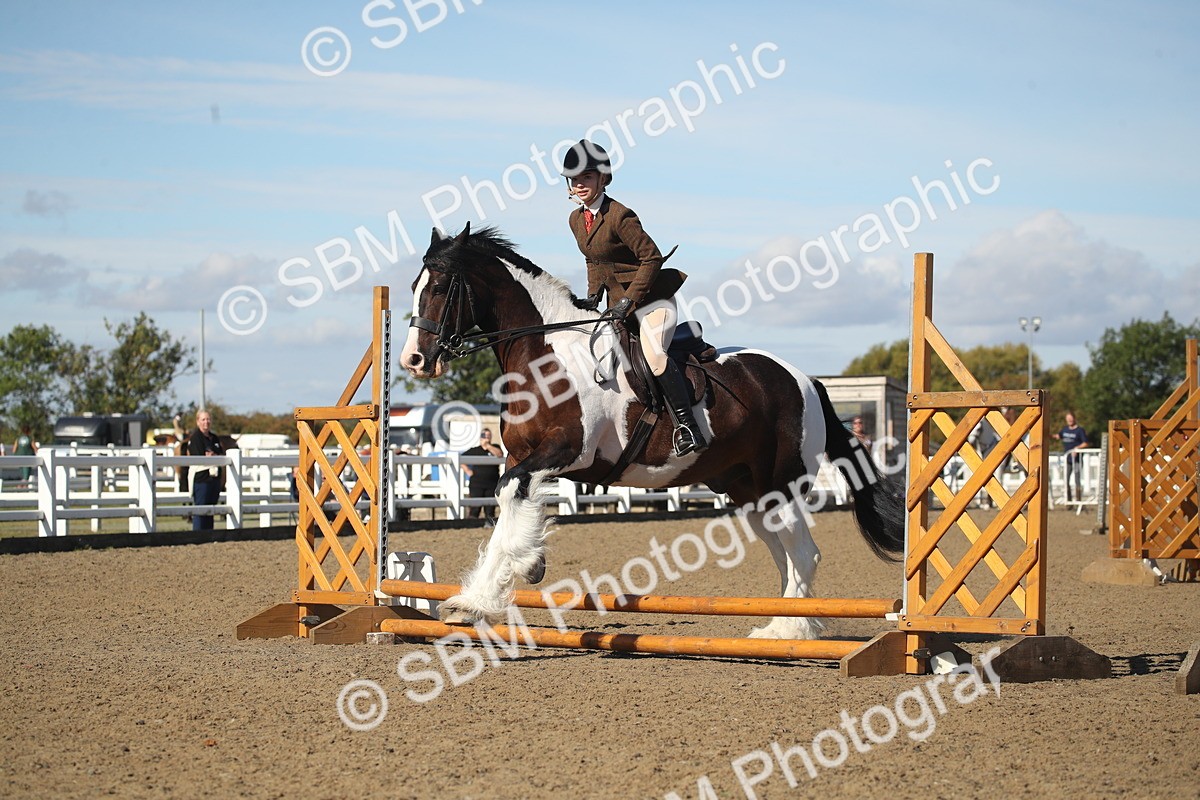 SBM_12736 - Class 504b - Junior Working Veteran - 40cm (20+)