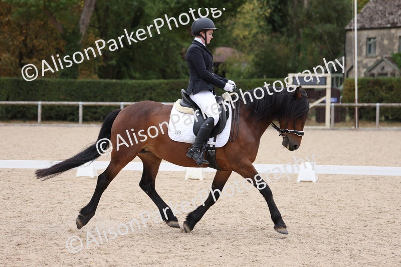 20250820-1104 - Class 17 - Elementary 4