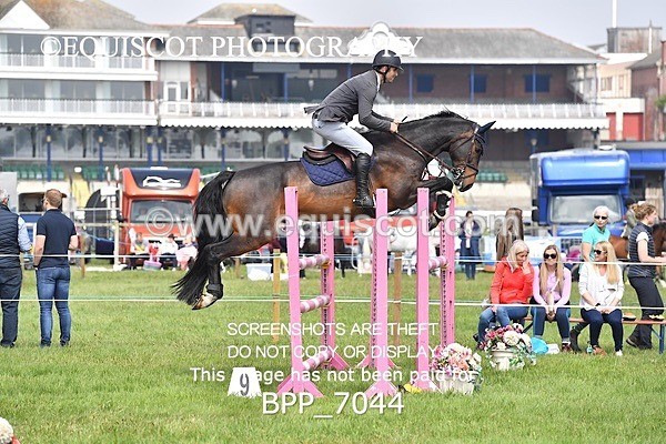 BPP_7044 - CLASS 3 RHS Fox Champ Qual (1.20m)