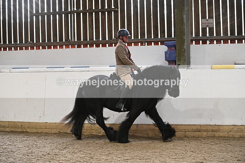 WJ7_4490 - Afternoon Champs