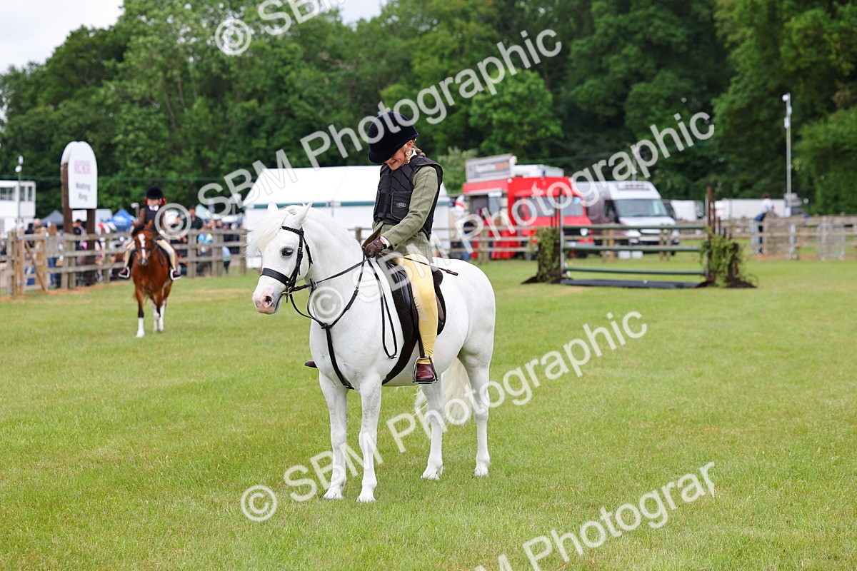 SBM_08763 - Class 42-43 - LIHS BSPS Heritage Working Sports Pony