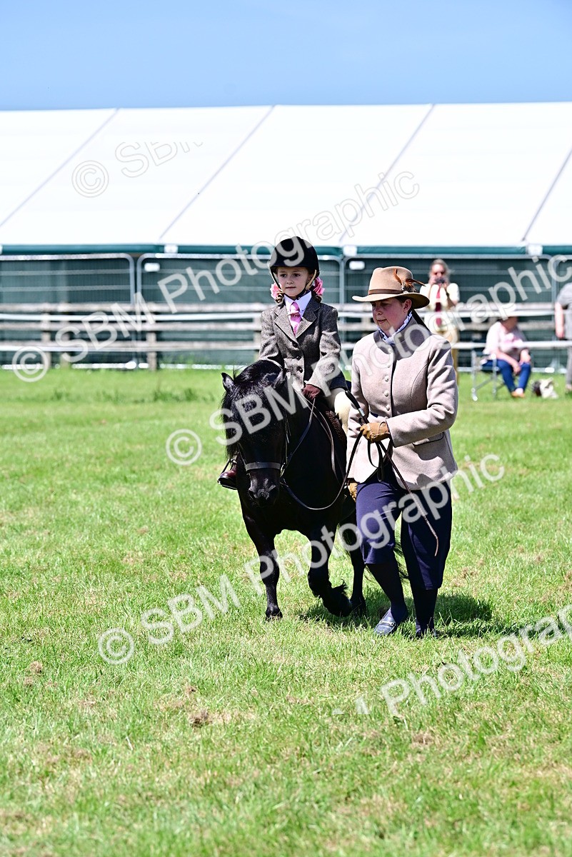 SBM_05864 - Class 59-60 - TSR M&M  Lear Rein and First Ridden Amateur of the year