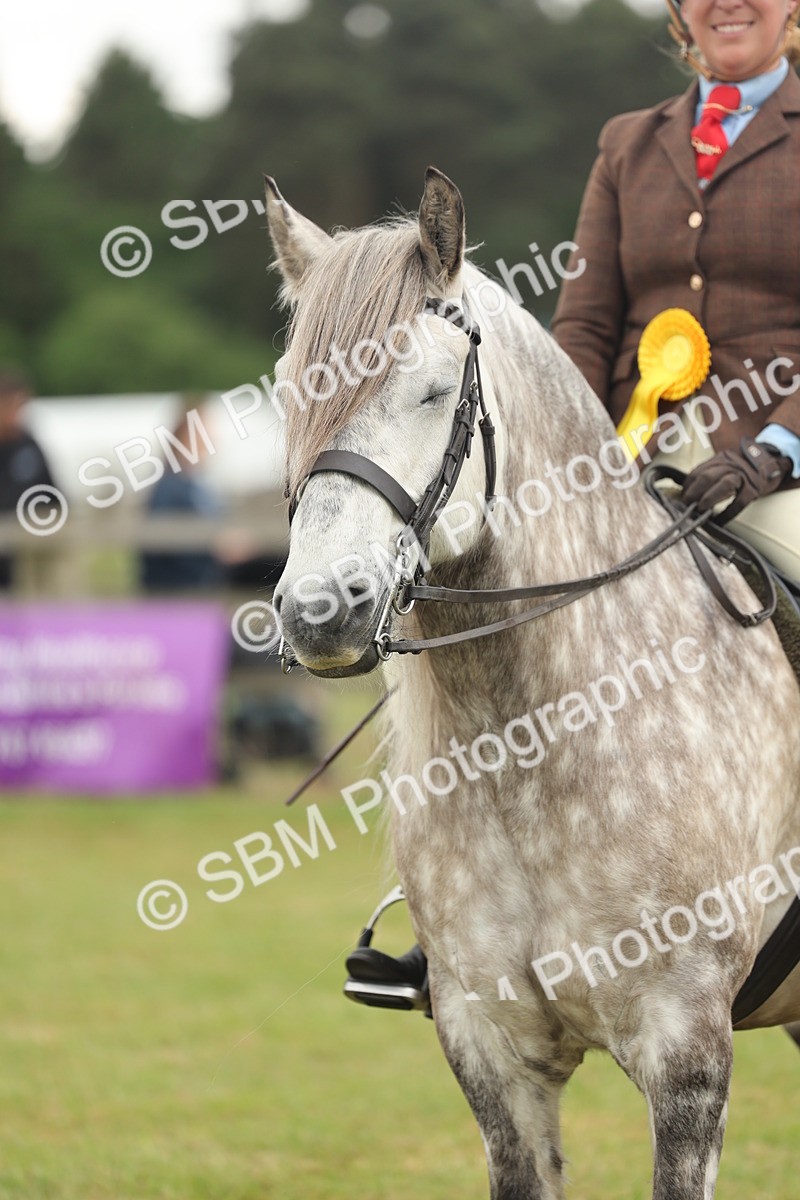 SBM_09057 - Class 78-80 - Ridden M&M Non Welsh Ponies