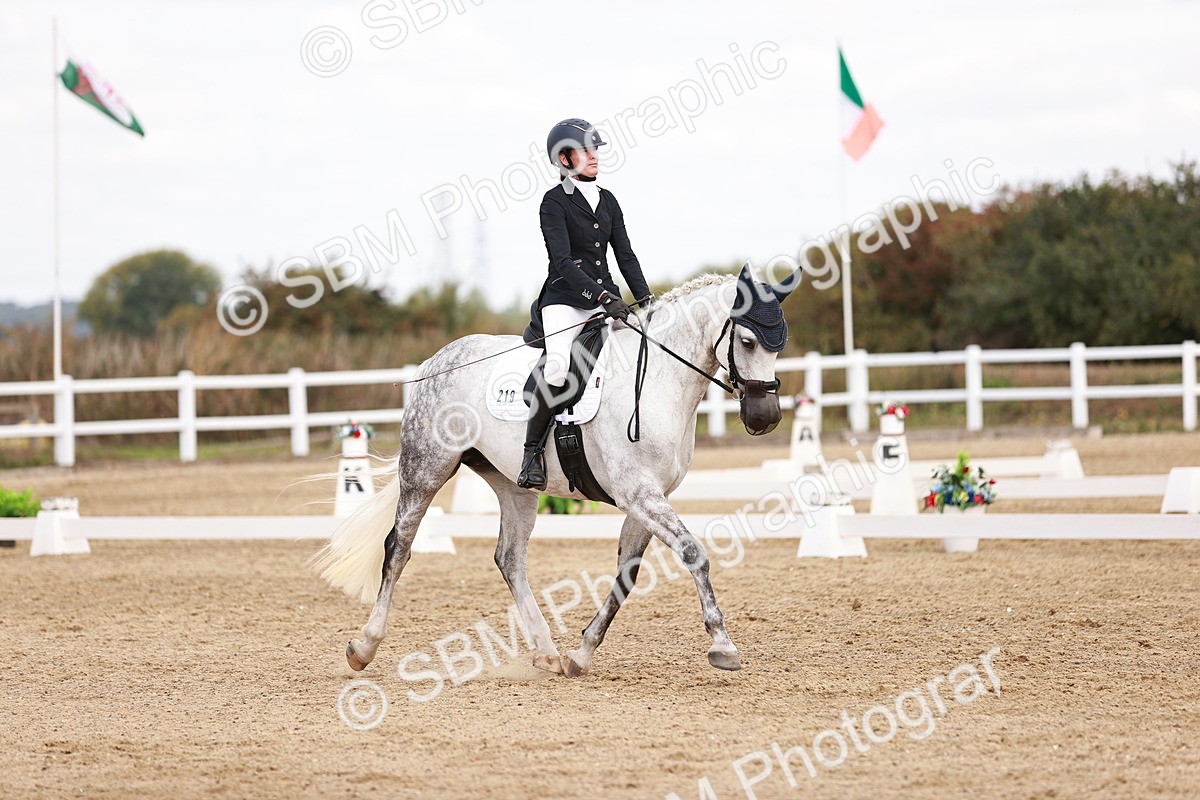 SBM_018000 - Class 15 - Prelim 6