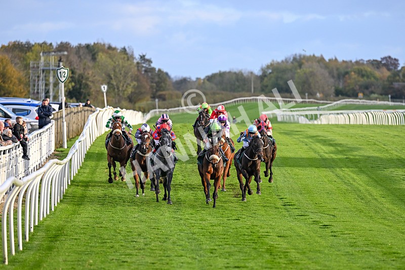 281025-Race 6-The Good Biscuit-1893 - Race 6