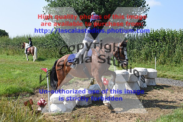 SNCP_0190 - N Group