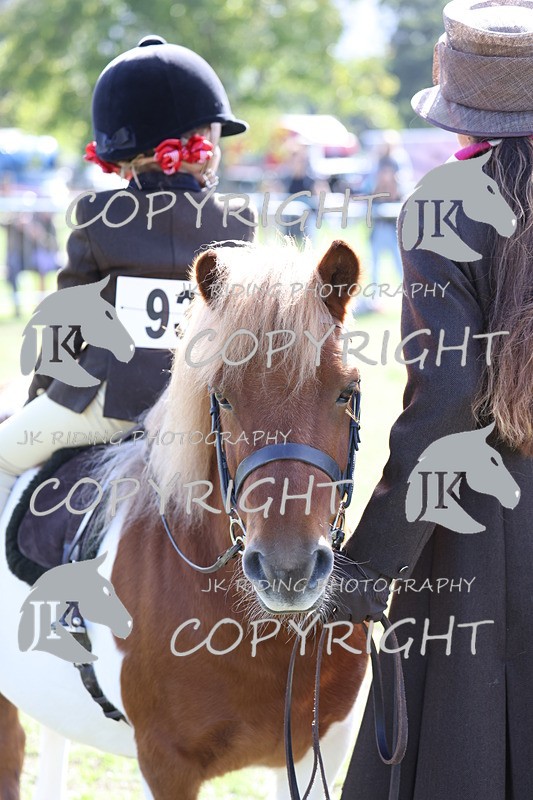 APP_3910 - Class 13 Lead rein