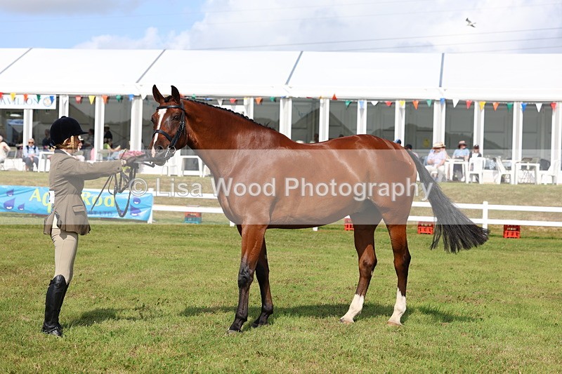 3E7A9551 - Class 4: Rising Star M/H Hunter