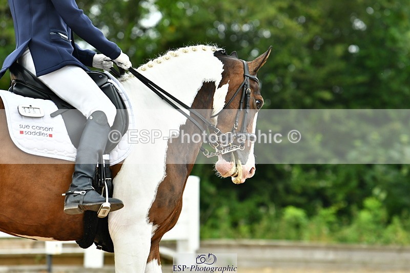 230701A-125118-06172 - Cls 8 Elementary 57