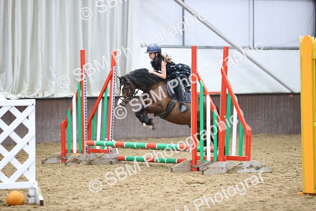 SBM_001221 - Class 3 - Horse & Hound 60cm