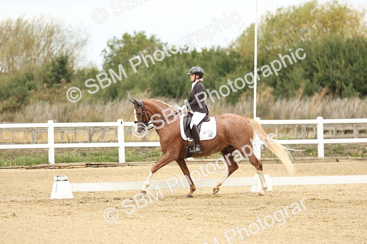 SBM_006535 - Class 21 - Medium 5 Bronze - 9.08-9.48