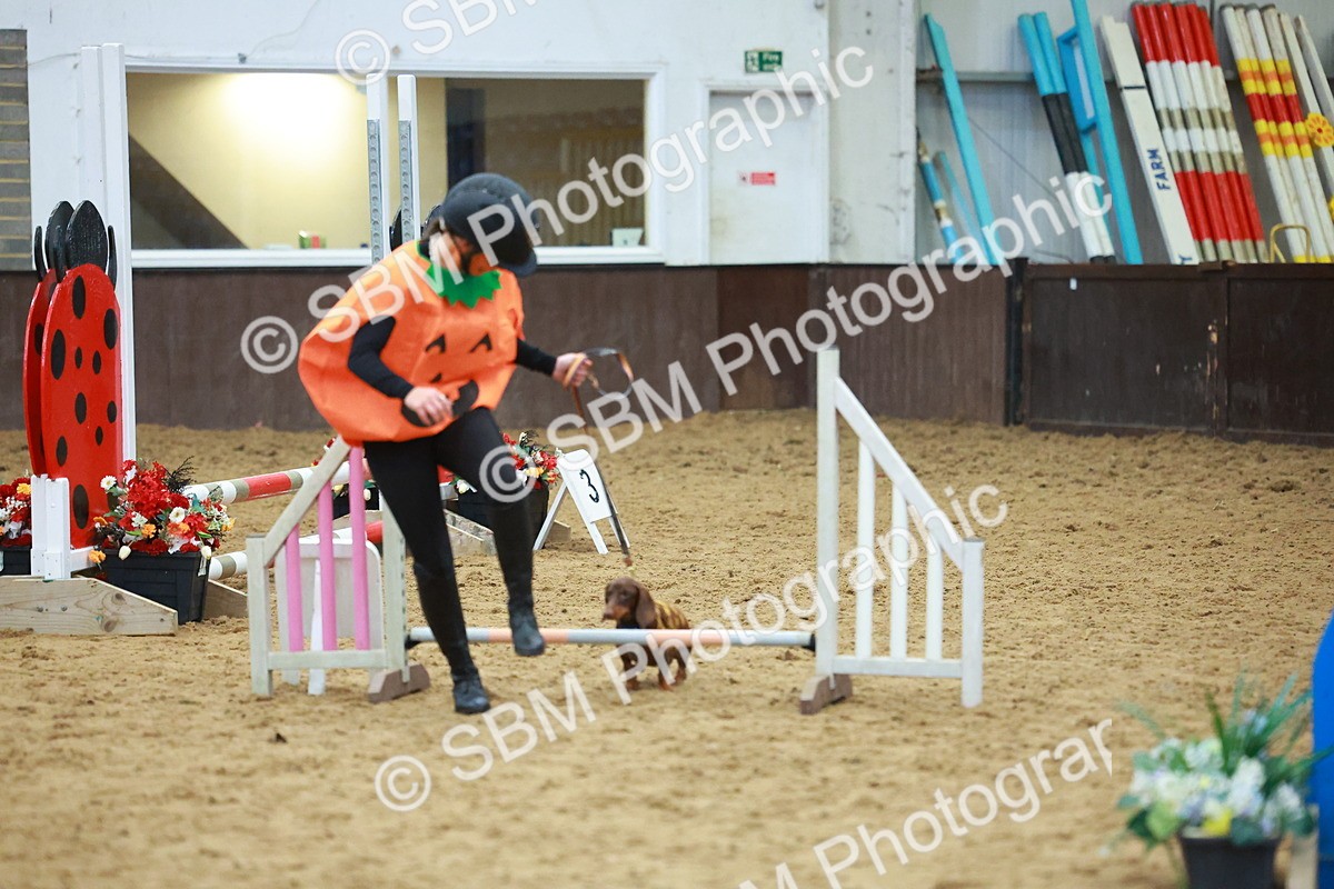 SBM_002197 - Class 3 - Horse & Hound (60cm)