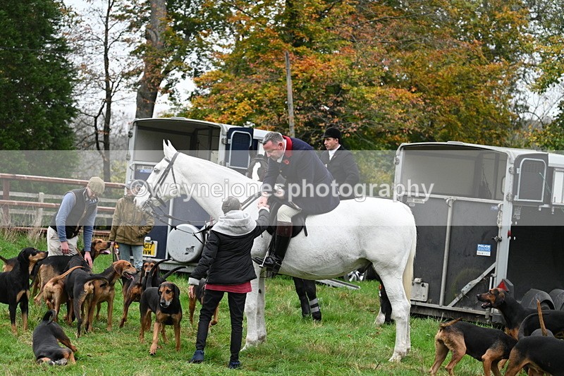 WJ7_7435 - The Meet