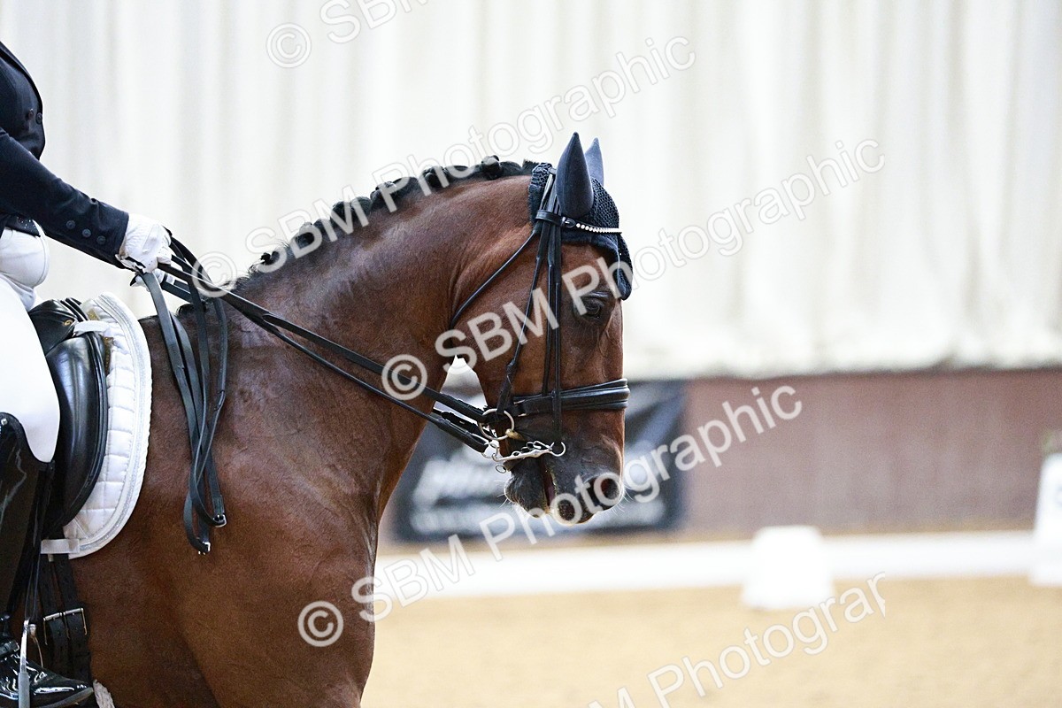 SBM_004064 - Class 13-19 - Novice FSM-INT 1 - 9.00-9.54