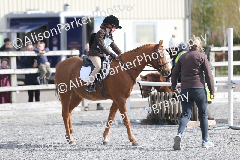 20260412-0095 - Show Jumping