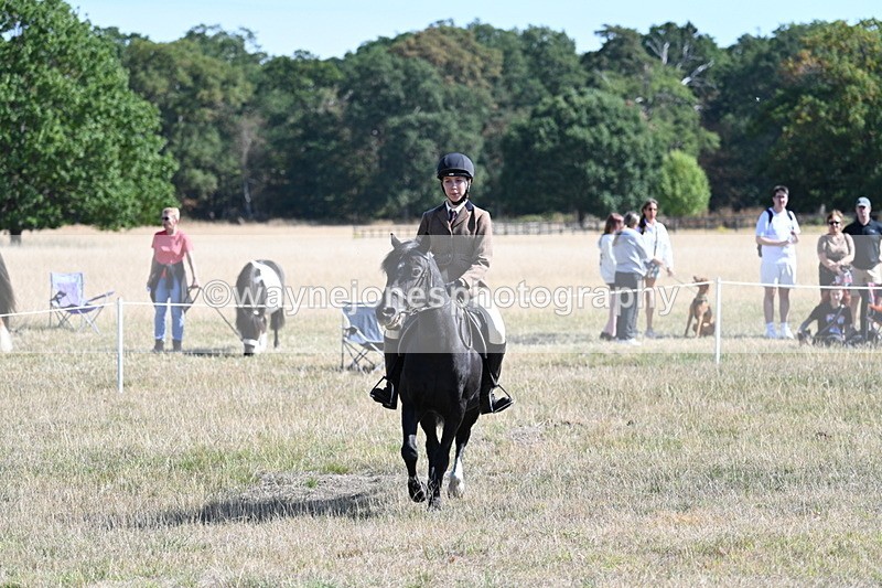 WJ7_3815 - Class 9 Mountain & Moorland Ridden