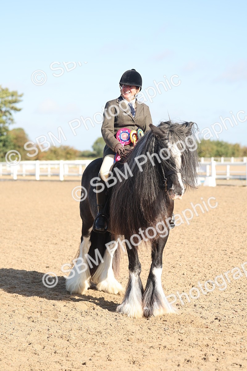 SBM_22253 - Class 802 - Ridden Groom Helpers Class