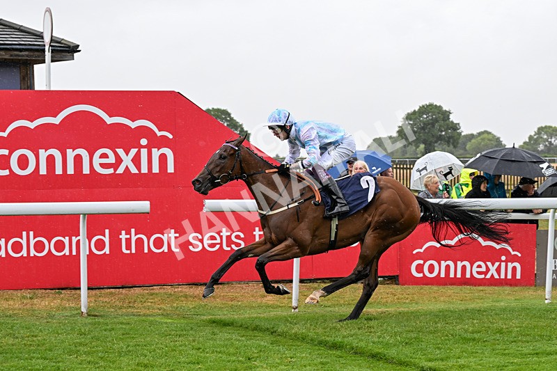 150725-Race 2-Pearl Fortune-0197 - Race 2