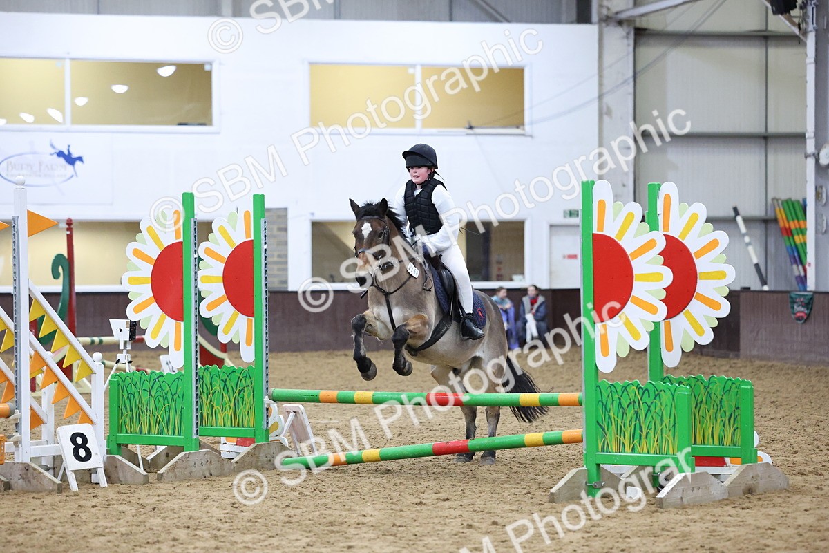 SBM_001051 - Class 3 - Christmas Tree Stakes - 60cm