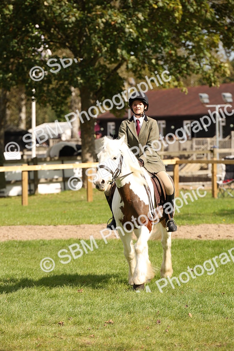 SBM_42287 - S13 - Pony Club Pony