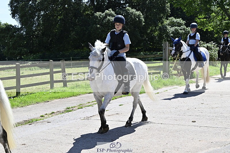 240728B-141217-00457 - Theo and Gemma's Groups Indoor