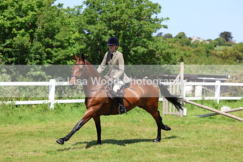 3E7A7304 - Class 30: Novice Working Hunter