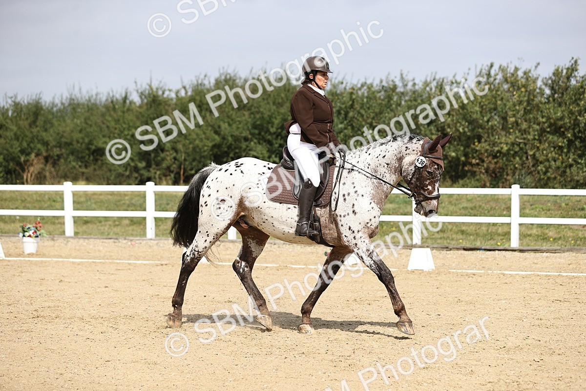 SBM_016834 - Class 14 Novice 23 - 11.53-12.56