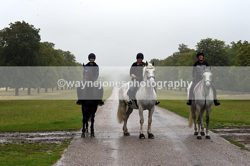 TT3_8479 - Time at Crossing 10:16 to 11:38