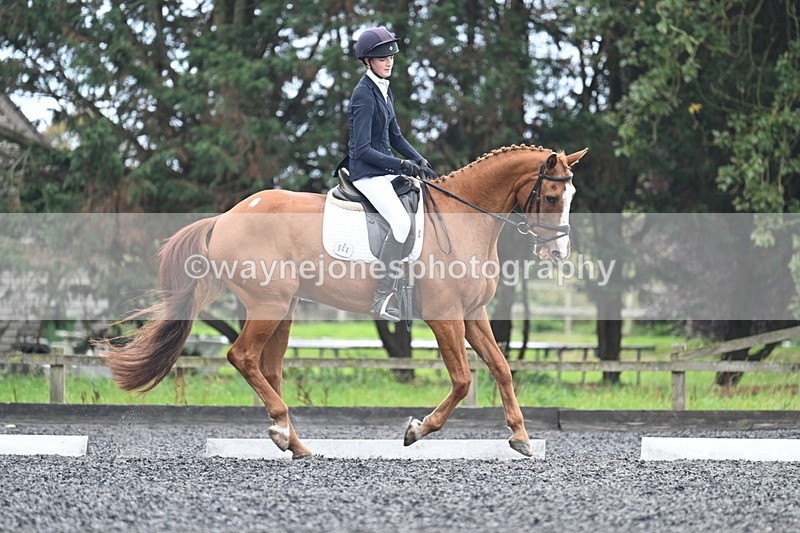 WJ7_6707 - Time 14:49 to 15:14