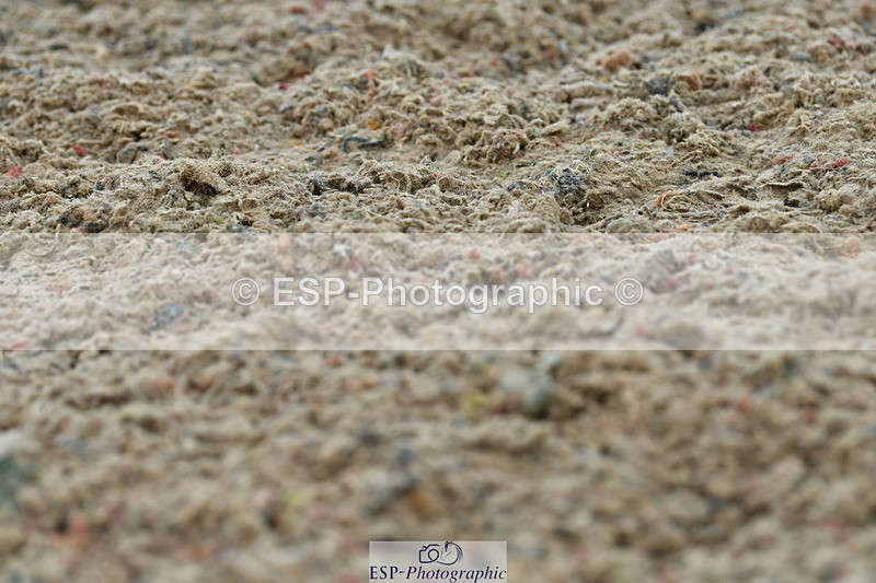 230708A-104728-02420 - Prelim 13