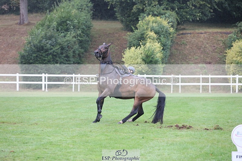 250830A-135647-06845 - Cls 16 Snr Newcomers and 1.10m Open