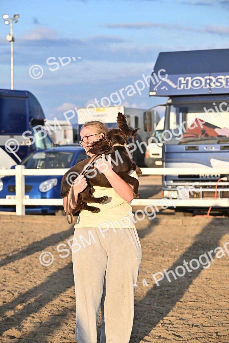 SBM_09682 - Lorry Dogs