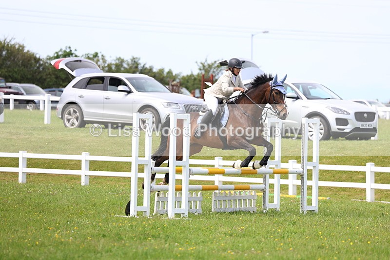 3E7A1462 - Class 13: Senior British Novice/90cm open