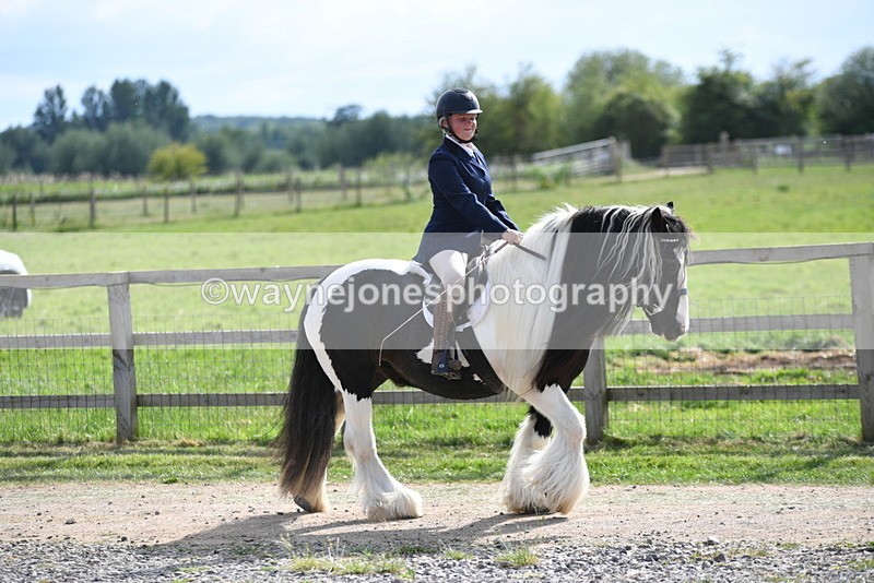 WJ5_7938 - Time 16:56 to 17:14