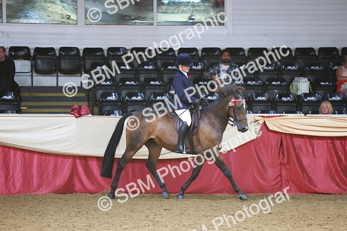 SBM_23959 - Class 905 - Supreme Final - Ridden Veteran
