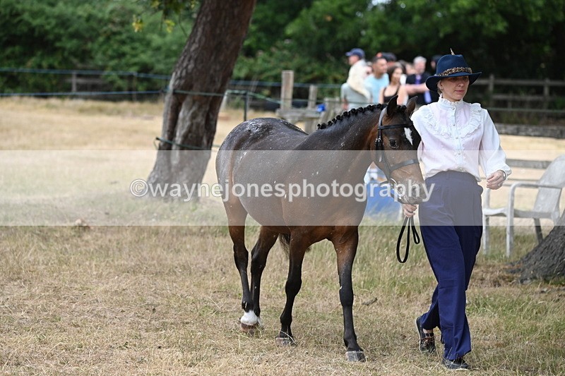 WJ6_7961 - Class 10 Coloured in Hand
