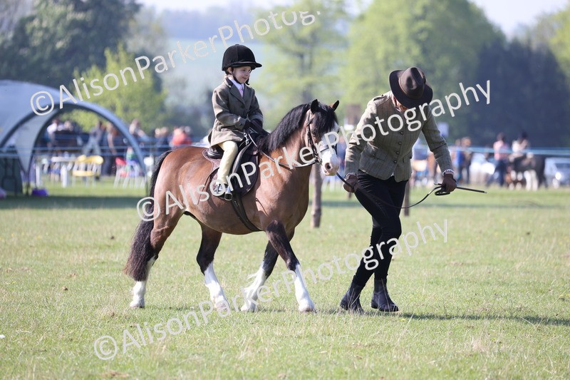 20250427-0132 - Class 30 - Tiny Tots Lead Rein