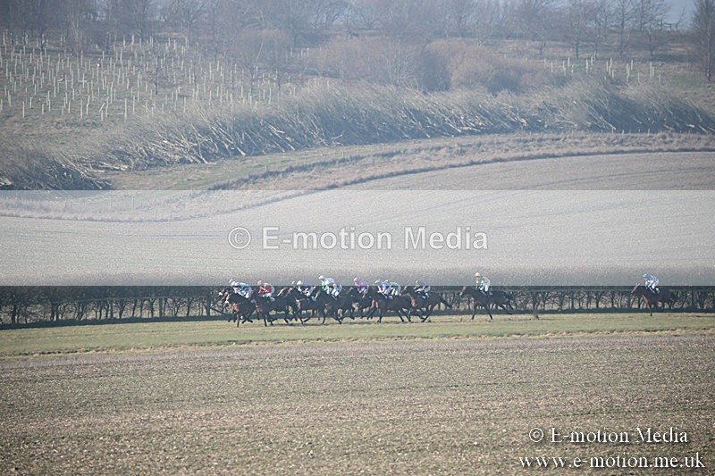 PtP 230219 80 - Vine & Craven Point-To-Point - Barbury 23/02/19