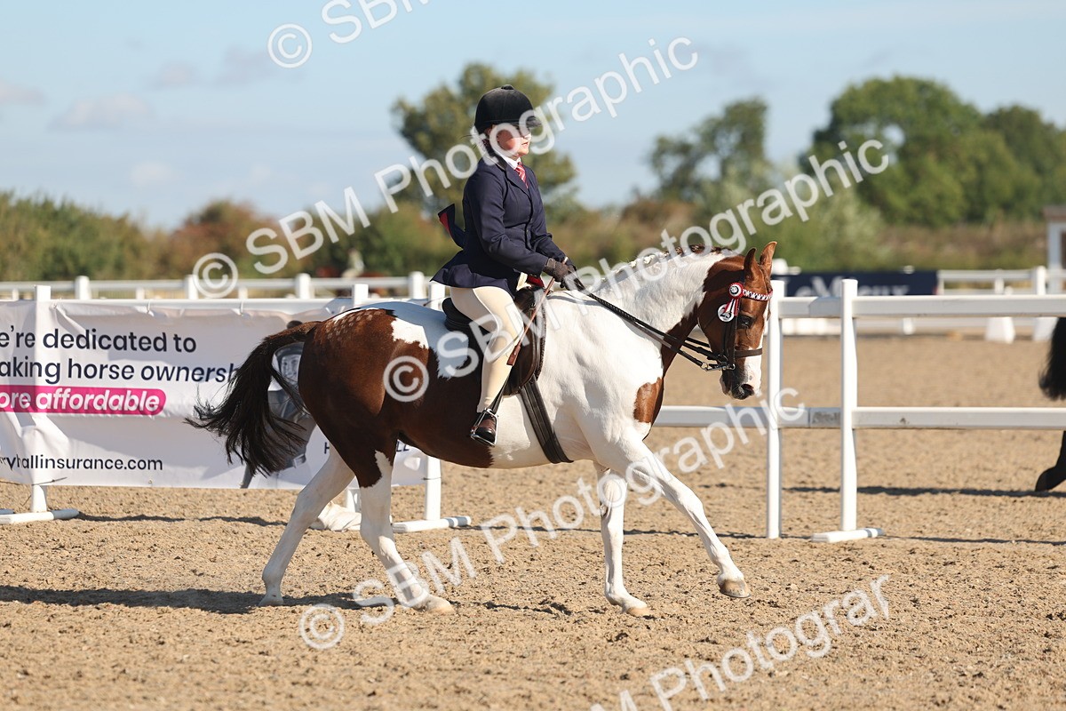 SBM_12313 - Class 304 - Ridden part Bred Horse Pony