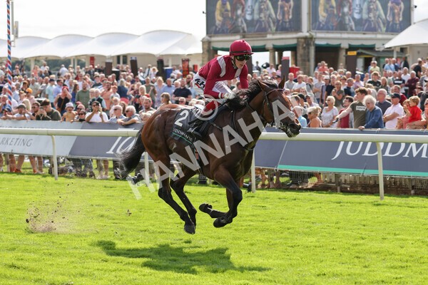 yr18082021r4-79 - Race 4 3.35pm Juddmonte International Stakes (British Champion Series race)